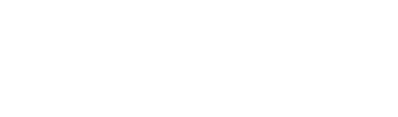 SkylineIT Logo